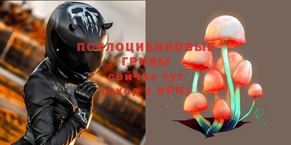 экстази Няндома