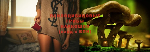экстази Няндома
