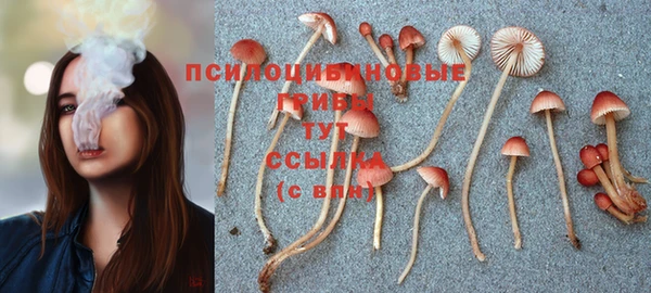 бутират Нягань