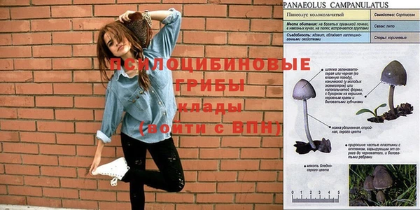 экстази Няндома